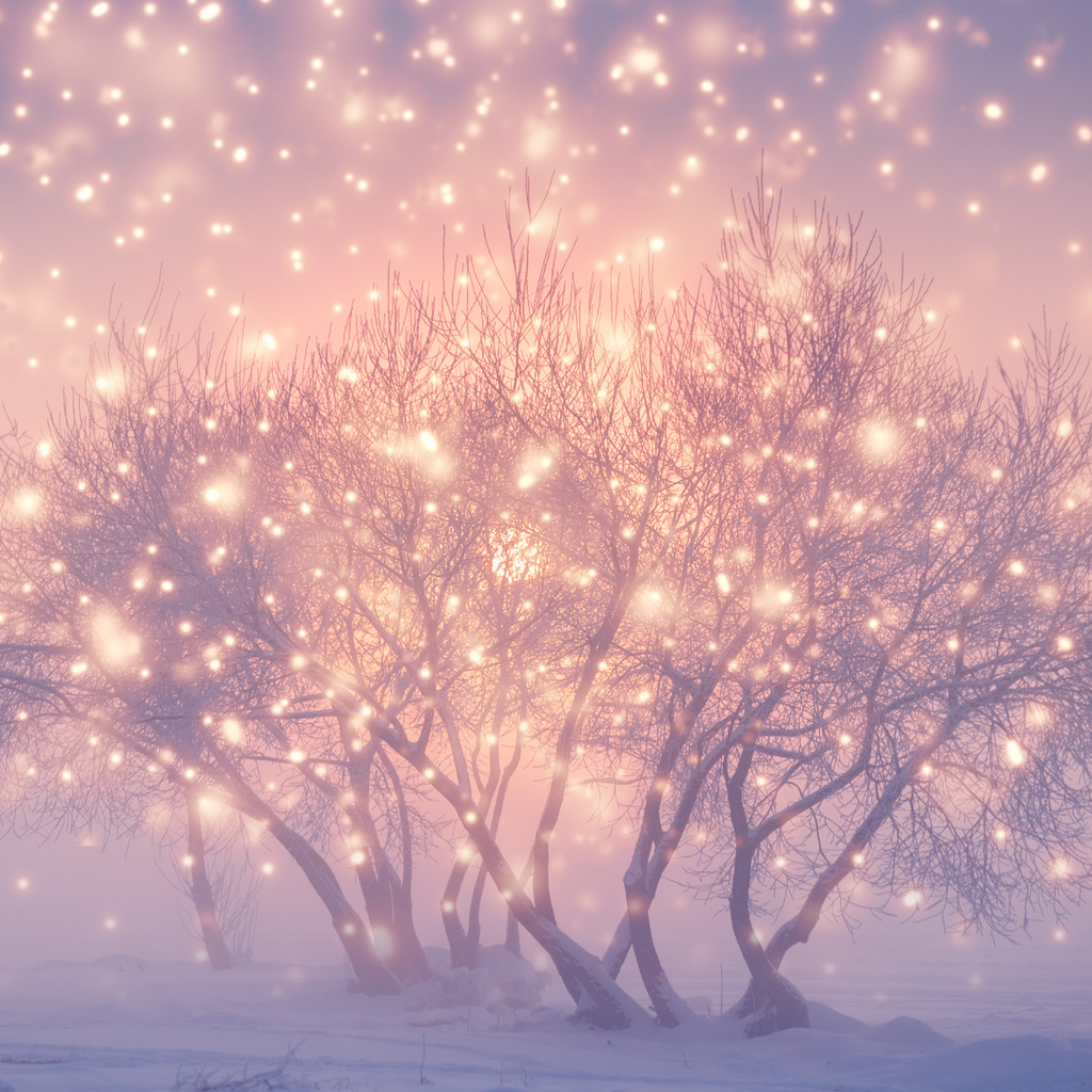 La magie de Noël dans des bijoux en plaqué or - KUBE STORE